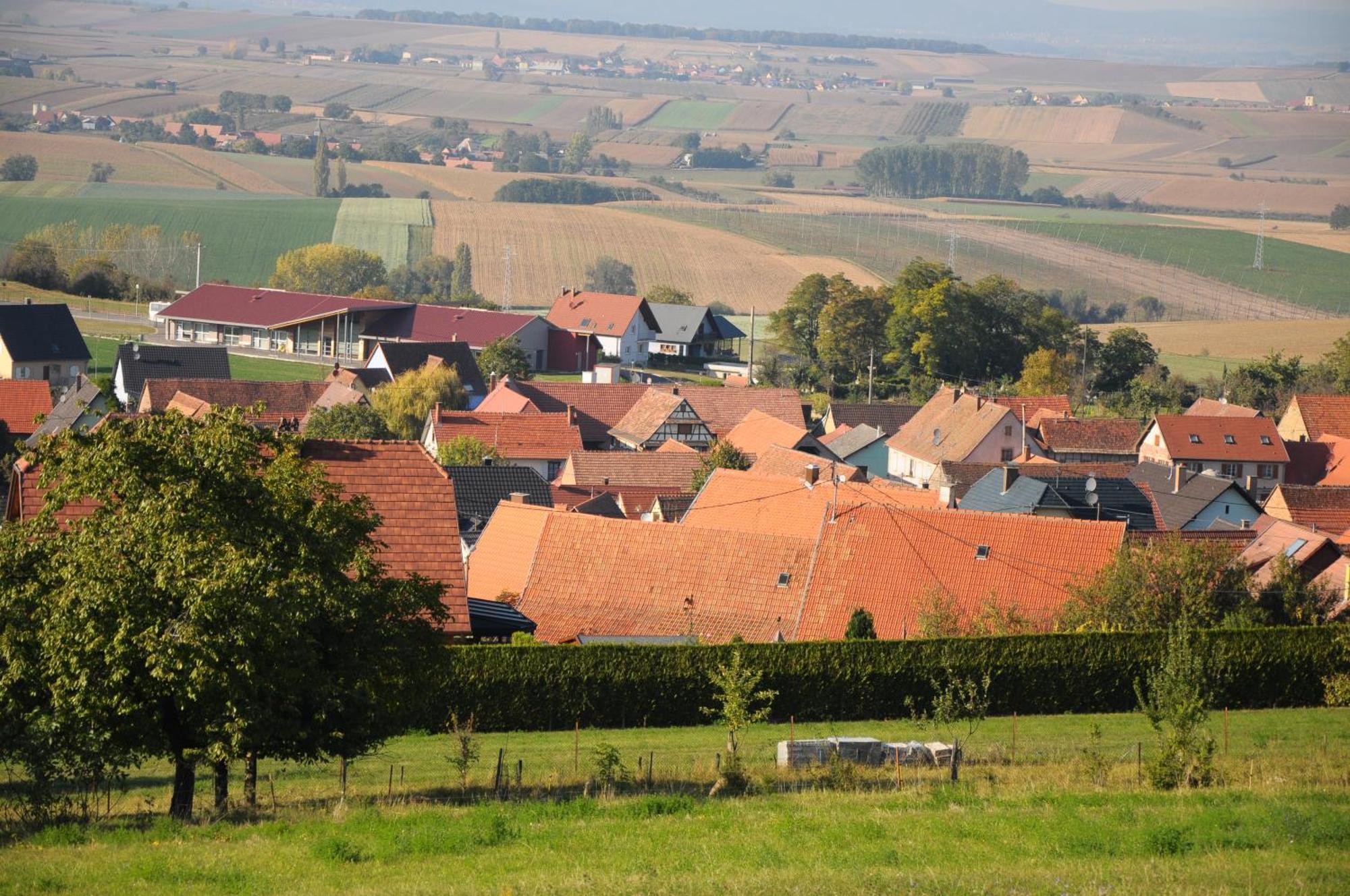 La Ferme De Louise Bed & Breakfast Hohengoeft Dış mekan fotoğraf