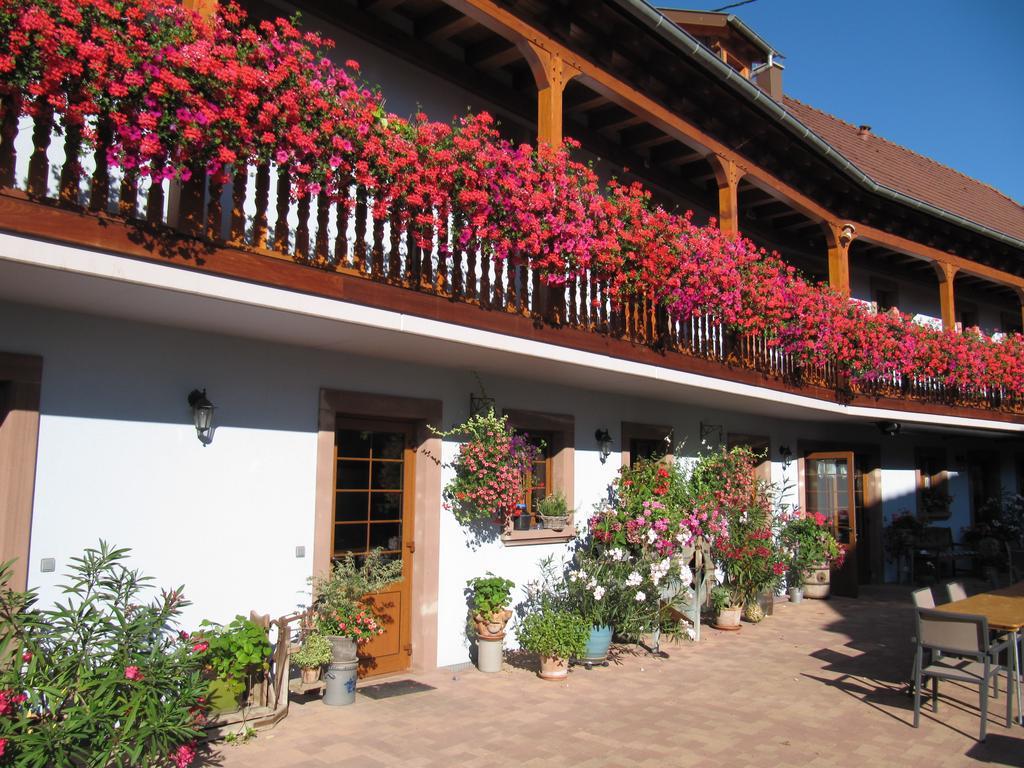 La Ferme De Louise Bed & Breakfast Hohengoeft Dış mekan fotoğraf