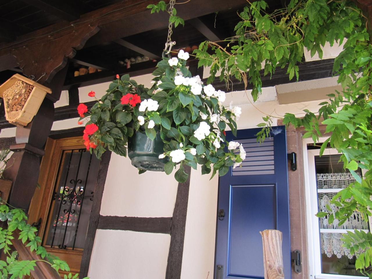 La Ferme De Louise Bed & Breakfast Hohengoeft Dış mekan fotoğraf