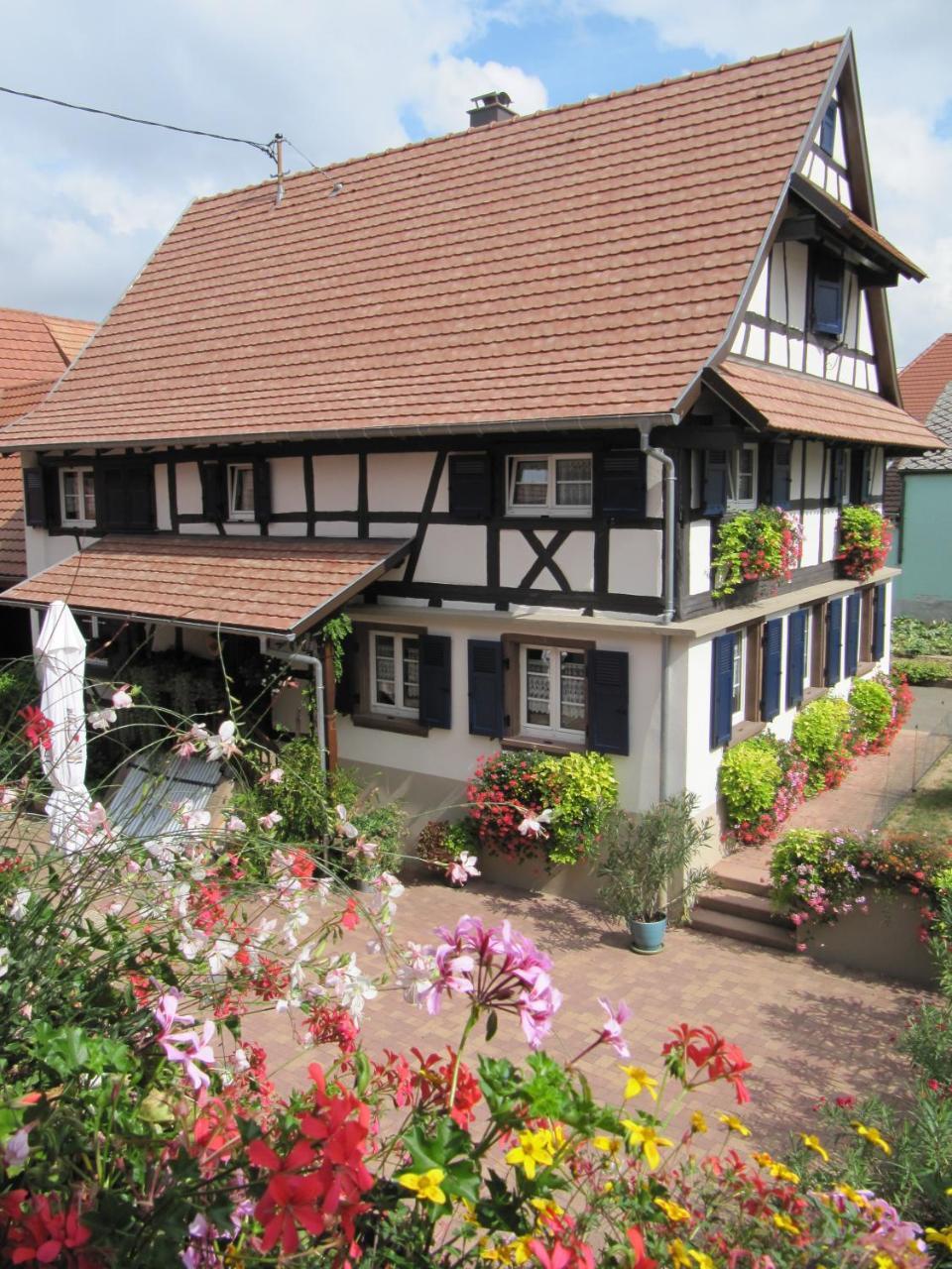La Ferme De Louise Bed & Breakfast Hohengoeft Dış mekan fotoğraf
